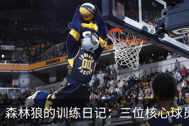 森林狼的训练日记：三位核心球员的勤奋时刻